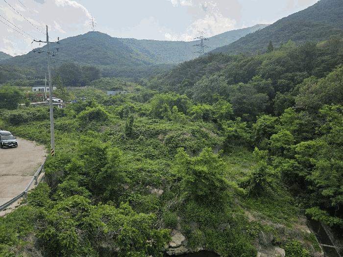 경상남도 김해시 상동면 여차리 1037-3 임야 경매 사진 3