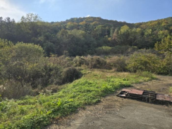 경상북도 영천시 대창면 용전리 364 답 경매 사진 14