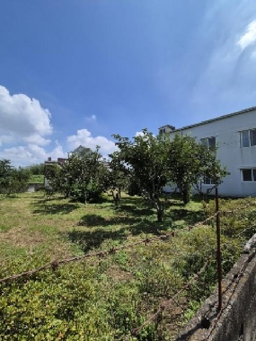 광주광역시 광산구 송대동 490-1 주택 경매 사진 9
