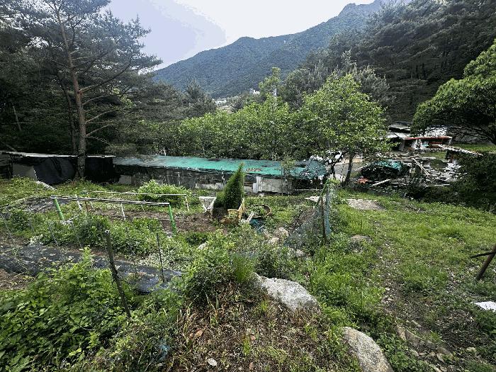 울산광역시 울주군 상북면 등억알프스리 616 답 경매 사진 1