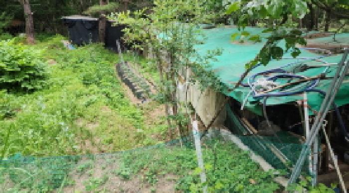 울산광역시 울주군 상북면 등억알프스리 616 답 경매 사진 10