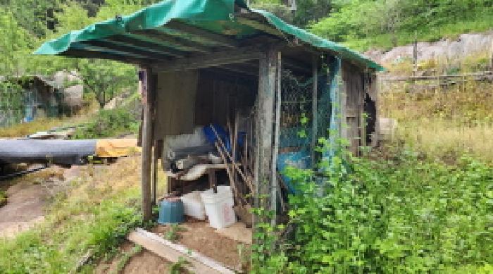 울산광역시 울주군 상북면 등억알프스리 616 답 경매 사진 11