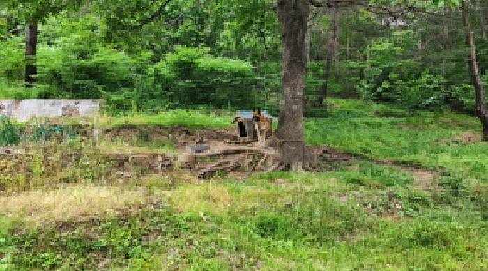 울산광역시 울주군 상북면 등억알프스리 616 답 경매 사진 12