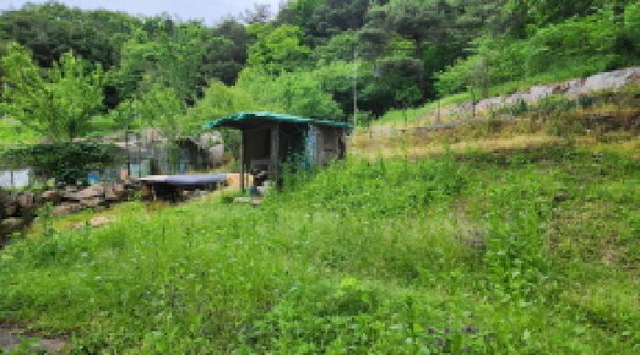 울산광역시 울주군 상북면 등억알프스리 616 답 경매 사진 14