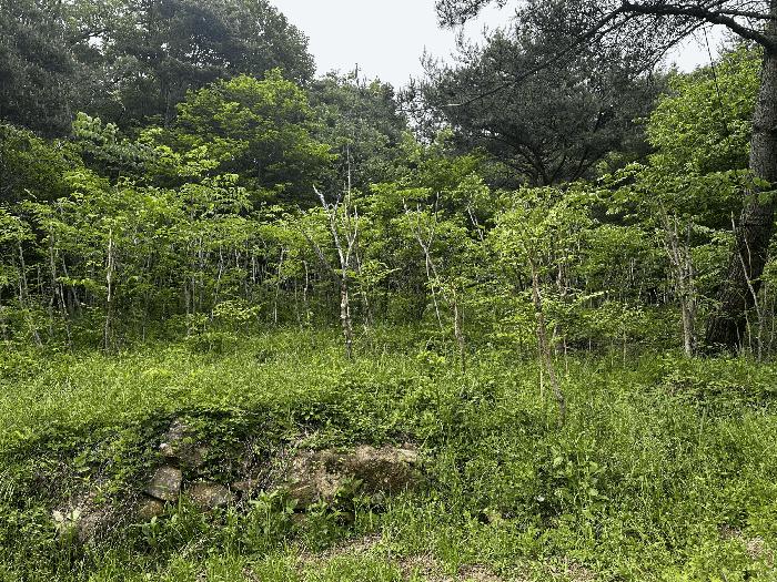 울산광역시 울주군 상북면 등억알프스리 616 답 경매 사진 4
