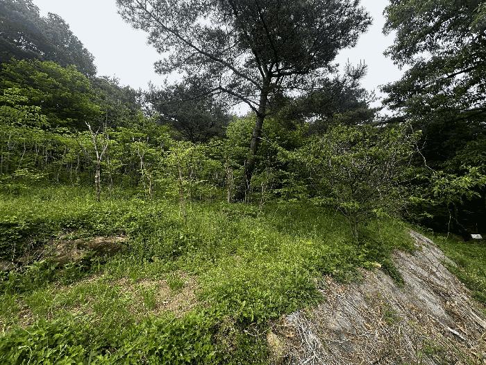 울산광역시 울주군 상북면 등억알프스리 616 답 경매 사진 5