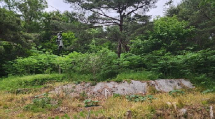 울산광역시 울주군 상북면 등억알프스리 616 답 경매 사진 9