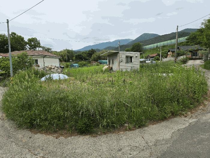 울산광역시 울주군 상북면 산전리 572-3 대지 경매 사진 13