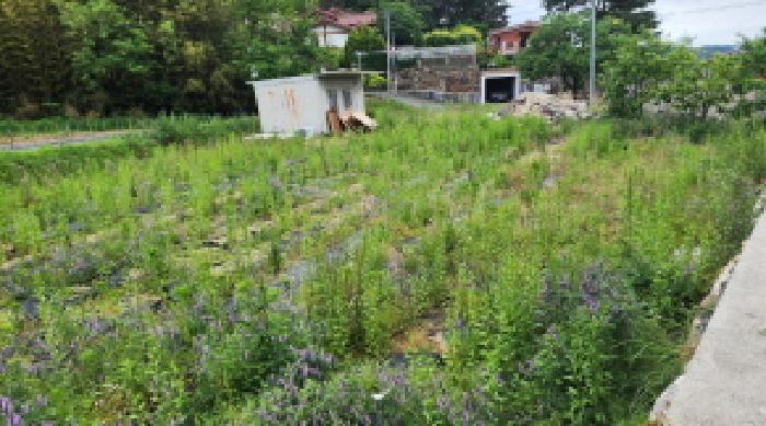 울산광역시 울주군 상북면 산전리 572-3 대지 경매 사진 16