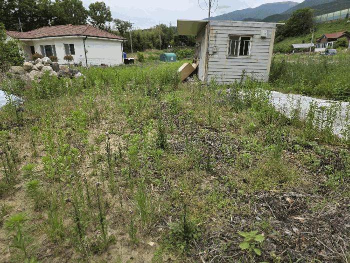 울산광역시 울주군 상북면 산전리 572-3 대지 경매 사진 5