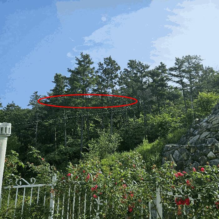 울산광역시 울주군 서생면 화산리 산62-9 임야 경매 사진 4