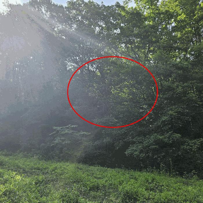 울산광역시 울주군 서생면 화산리 산62-9 임야 경매 사진 5