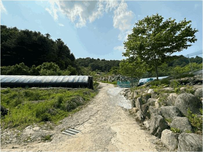 경기 가평군 임야