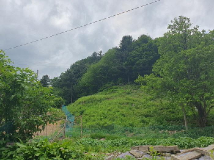경기도 가평군 설악면 회곡리 산35 임야 경매 사진 14
