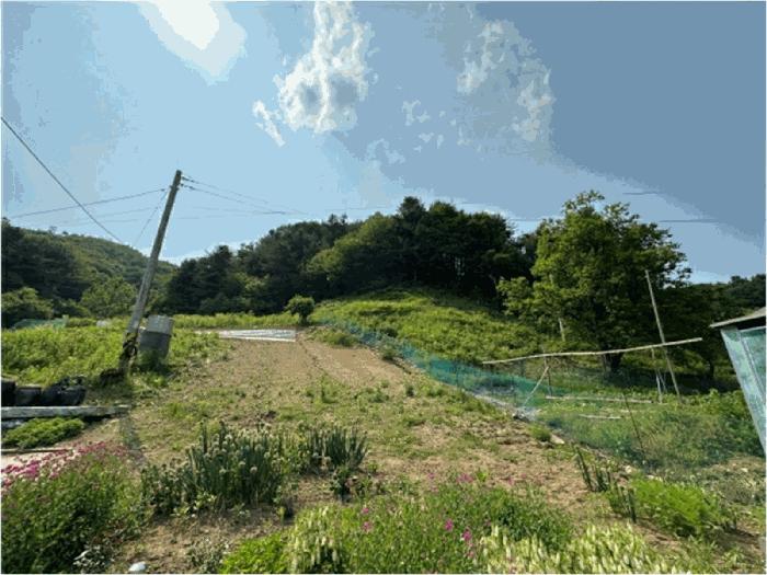 경기도 가평군 설악면 회곡리 산35 임야 경매 사진 3