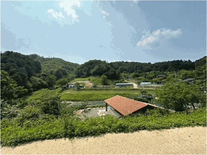 경기도 가평군 설악면 회곡리 산35 임야 경매 사진 8