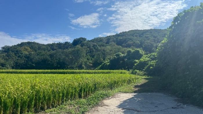 울산광역시 북구 신현동 산182 임야 경매 사진 1