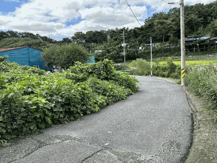 경상남도 양산시 하북면 백록리 798 공장 경매 사진 6
