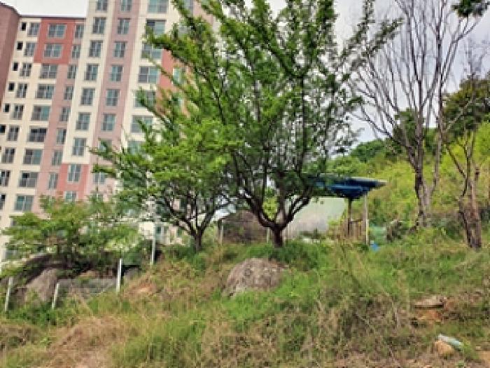 경상남도 김해시 지내동 510 전 경매 사진 10