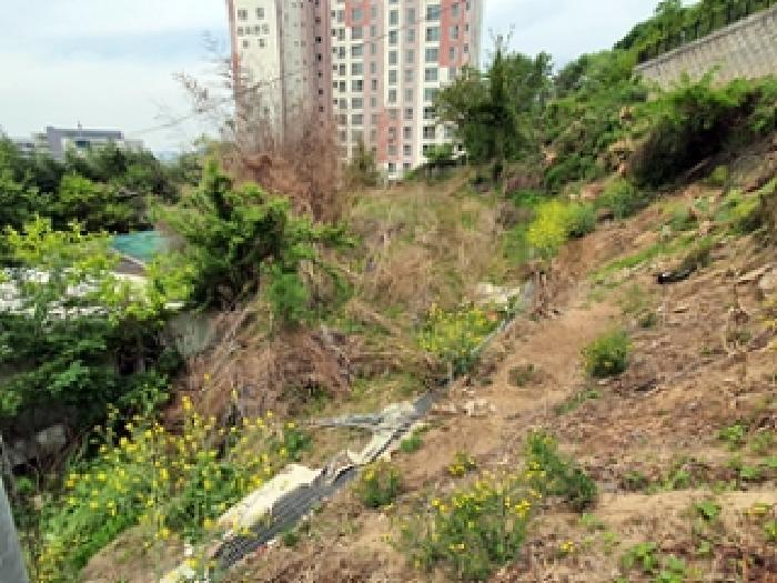 경상남도 김해시 지내동 510 전 경매 사진 7