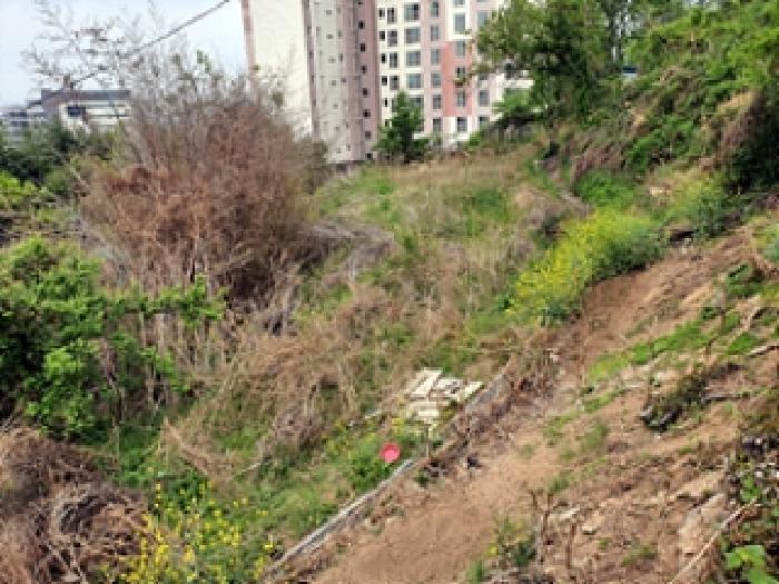 경상남도 김해시 지내동 510 전 경매 사진 8