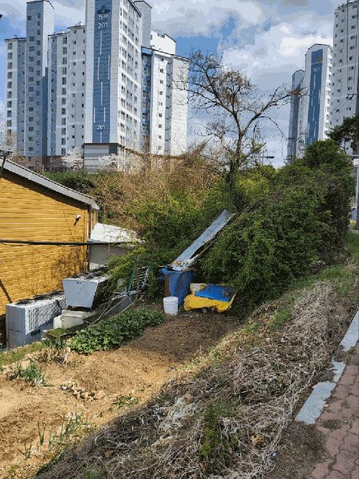 경상남도 김해시 진영읍 진영리 559 근린시설 경매 사진 2