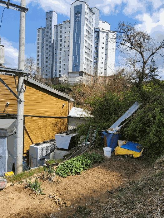 경상남도 김해시 진영읍 진영리 559 근린시설 경매 사진 3