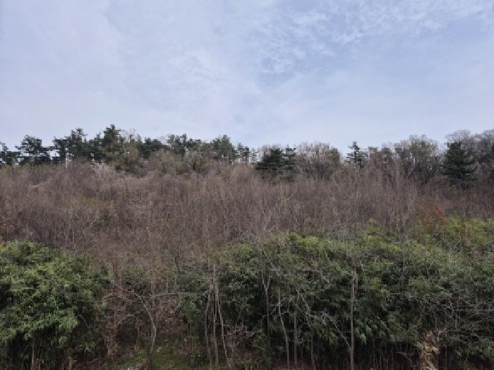 울산광역시 남구 두왕동 산18-6 임야 경매 사진 5