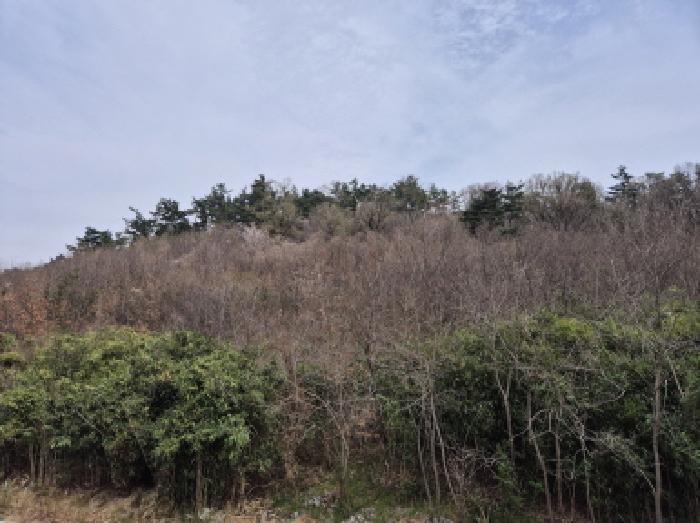 울산광역시 남구 두왕동 산18-6 임야 경매 사진 6