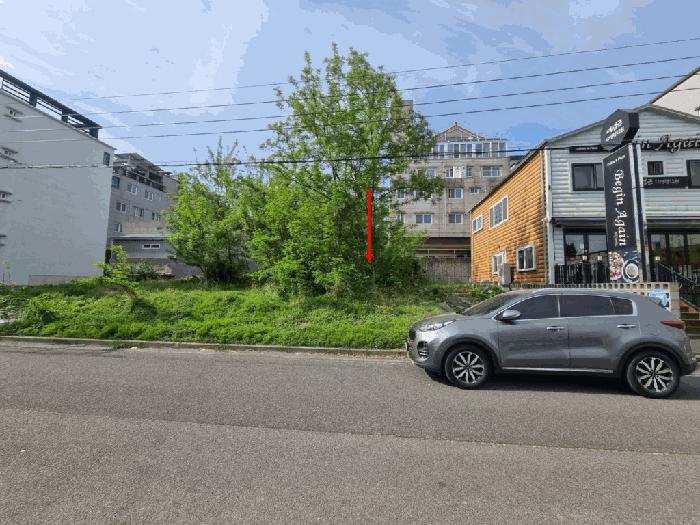 울산광역시 울주군 삼남읍 교동리 1631-6 대지 경매 사진 2
