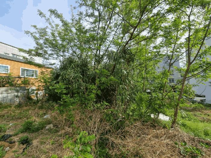 울산광역시 울주군 삼남읍 교동리 1631-6 대지 경매 사진 3