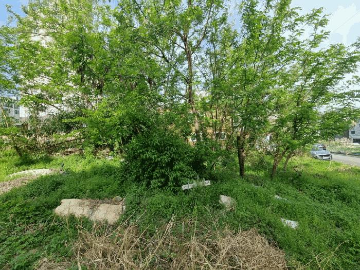 울산광역시 울주군 삼남읍 교동리 1631-6 대지 경매 사진 6