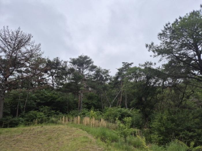 울산광역시 울주군 온양읍 남창리 산1 임야 경매 사진 10