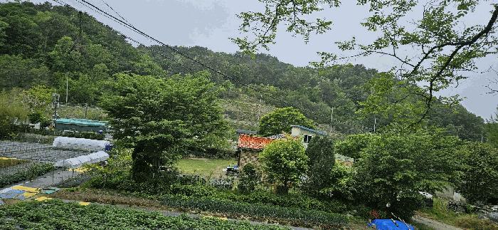 울산광역시 울주군 온양읍 남창리 산1 임야 경매 사진 2