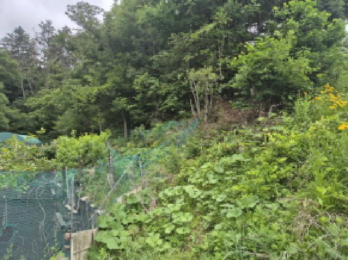 울산광역시 울주군 온양읍 남창리 산1 임야 경매 사진 5