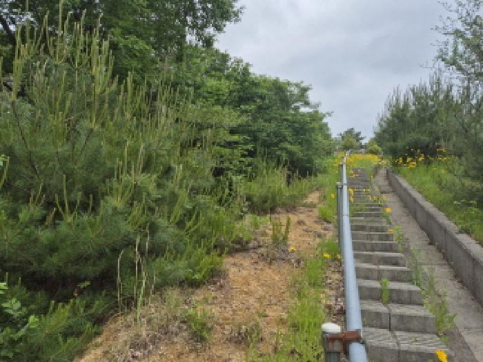 울산광역시 울주군 온양읍 남창리 산1 임야 경매 사진 6
