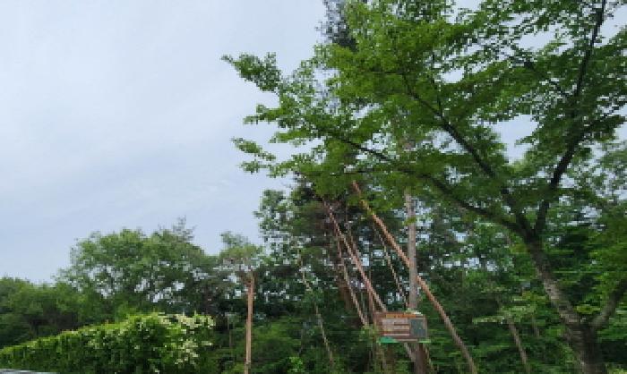 경상남도 양산시 상북면 소석리 산46-4 임야 경매 사진 3