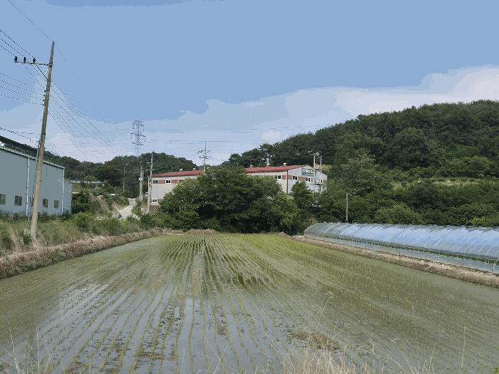 경상북도 성주군 선남면 문방리 907 공장 경매 사진 22