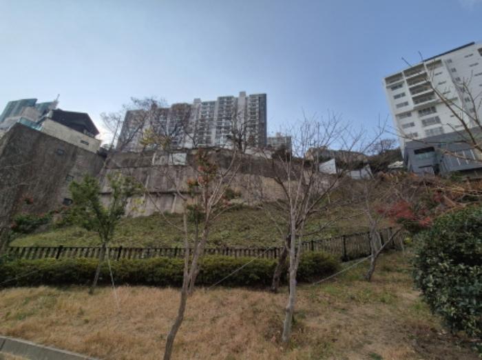부산광역시 서구 암남동 617-1 전 경매 사진 12