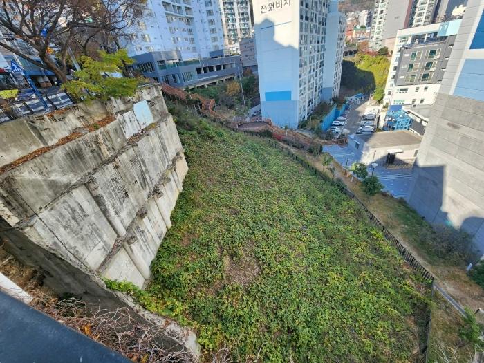 부산광역시 서구 암남동 617-1 전 경매 사진 2