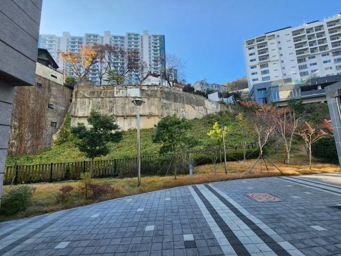 부산광역시 서구 암남동 617-1 전 경매 사진 3