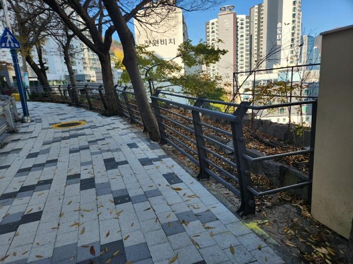 부산광역시 서구 암남동 617-1 전 경매 사진 8