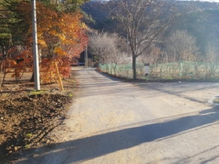 강원특별자치도 홍천군 내면 율전리 265 전 경매 사진 13