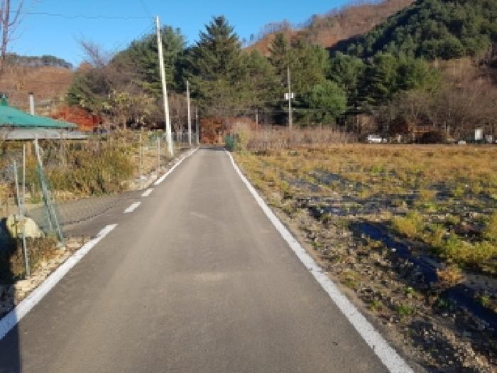 강원특별자치도 홍천군 내면 율전리 265 전 경매 사진 17
