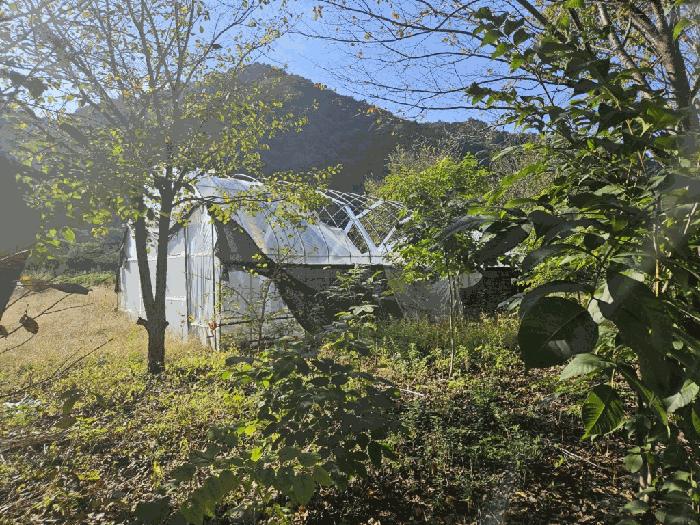 강원특별자치도 홍천군 내면 율전리 265 전 경매 사진 8