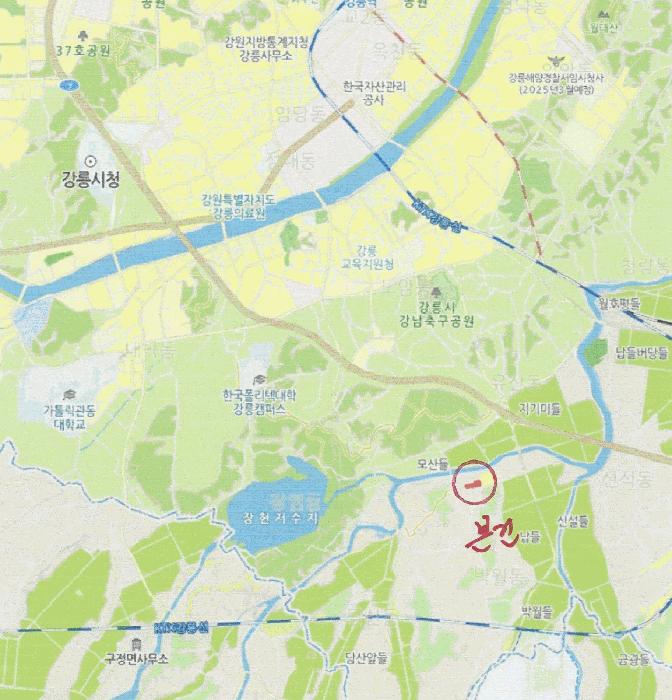강원특별자치도 강릉시 박월동 572-22 주택 경매 사진 17