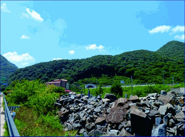 충청남도 부여군 외산면 만수리 산23-1 임야 경매 사진 10