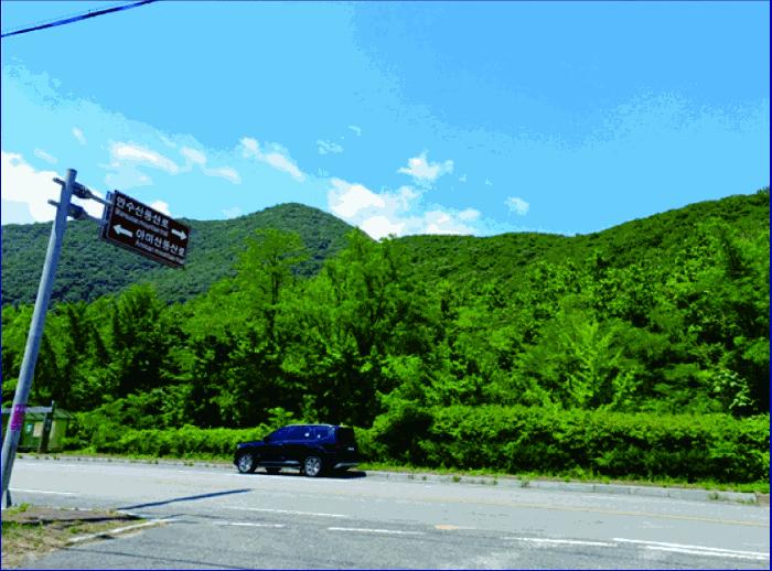 충청남도 부여군 외산면 만수리 산23-1 임야 경매 사진 12
