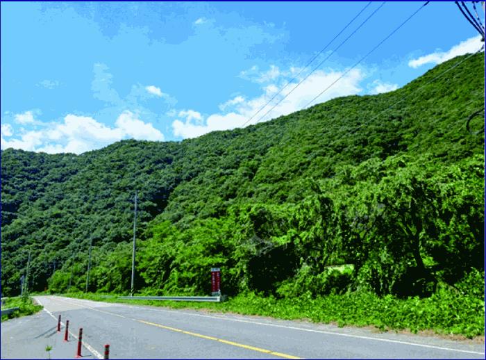 충청남도 부여군 외산면 만수리 산23-1 임야 경매 사진 14