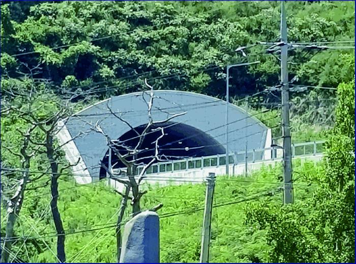 충청남도 부여군 외산면 만수리 산23-1 임야 경매 사진 2